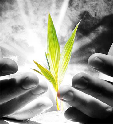 开云电竞智能科技有限公司品质(图2) 开云电竞智能科技有限公司品质(图2)